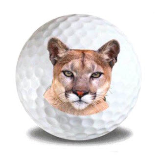 New Novelty Cougar Golf Balls